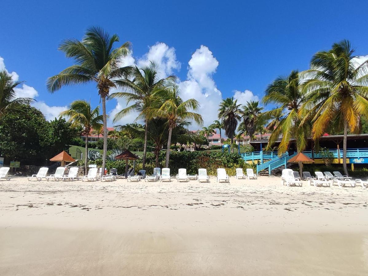 Studio Vue Mer Guadeloupe Sainte-Anne  Extérieur photo