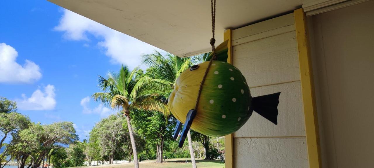 Studio Vue Mer Guadeloupe Sainte-Anne  Extérieur photo